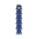 matowiggle