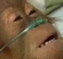 ded