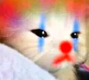 CatPayaso CatPayaso