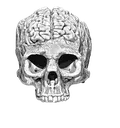 bigbrain bigbrain