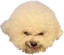 keikaku