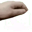 PettheLunarClient PettheLunarClient
