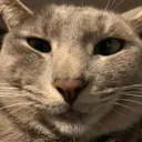 whompAWOKEN