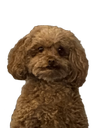 br_whatthedogdoin Discord emoji