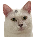 Roro Discord emoji