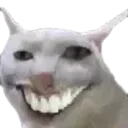 catsmile