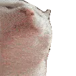 CatVibe