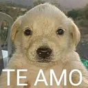 emoji_13