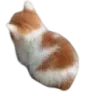 owoangrycat