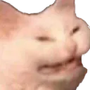 Catcringe Discord Emoji