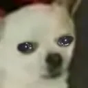 phoebsuffer