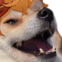 ChildeDogekek_yun