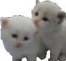 __hug
