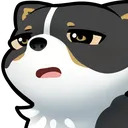 corgipain