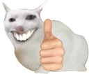 cat_thumbs_up