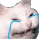 CatCri
