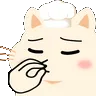 chonkchefskiss