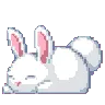 pixel_bunny