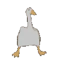 goosewalk