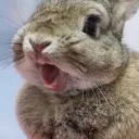 bun_gasp