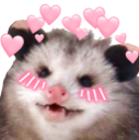 loving_possum Discord emoji