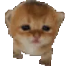 catedance
