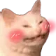 blushcat