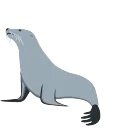 haj_bonk_seal
