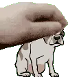 TheDogPat