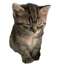 eepy