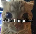 violence