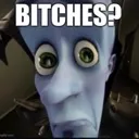 bitches