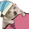 Sleepchi Sleepchi