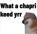 ag_doge_chapri ag_doge_chapri