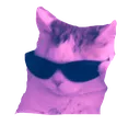 Catbooster Catbooster