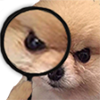 TP_Dog_AngryDetective Discord emoji