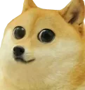 cuteshibe cuteshibe