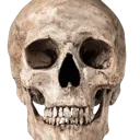 hdskull