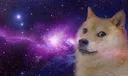 doge