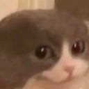 aa_melvin Discord emoji