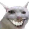 taq