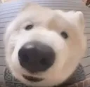 heyheyhey