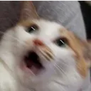 scare scare