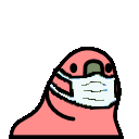 Mask_parrot