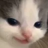devious_hehe
