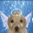 yanoestoyardido Discord Emoji