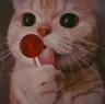 _billi_lollipop_js _billi_lollipop_js