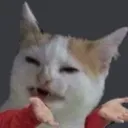 catwhat