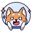 dogewee Discord Emoji