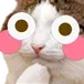 flushedCat flushedCat